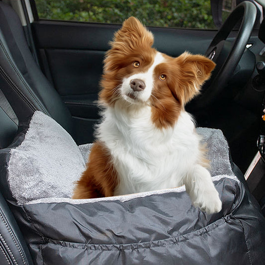 Car Travel Bundle — Booster Seat, Carrier Bag & Travel Bowl