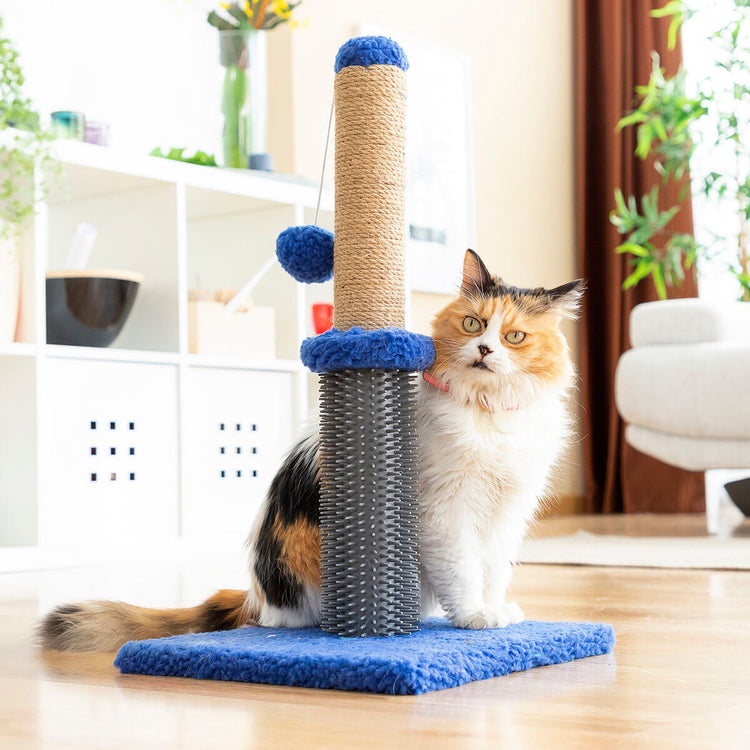 Cat Scratchers