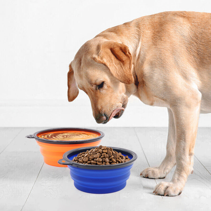 Walk Ready Kit — Harness, Bowl & Poop Bags Bundle