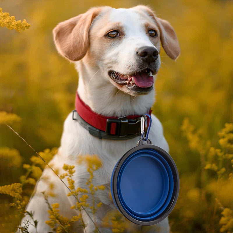 PawKind Collapsible Travel Bowl (Portable)